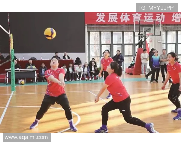 体育实时数据北京排球队比赛经验分享聚焦排球技术与团队协作的提升之道