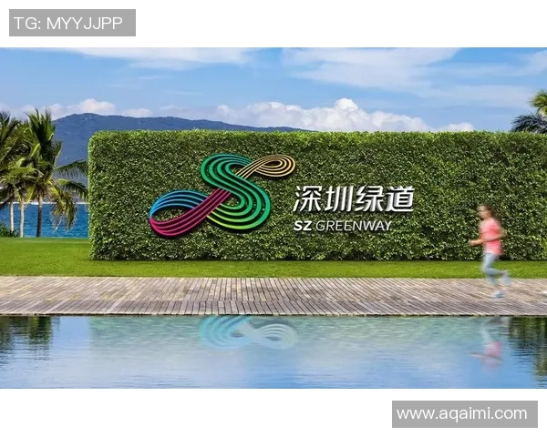 运动最新数据广州排球队区域防守创新之路探索与实践分析